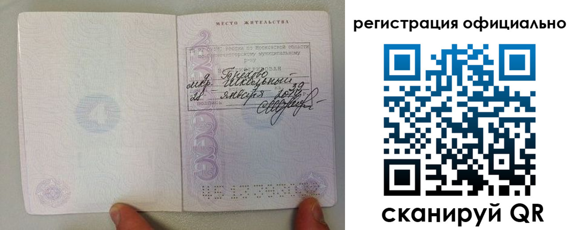 прописка штамп в Светогорске